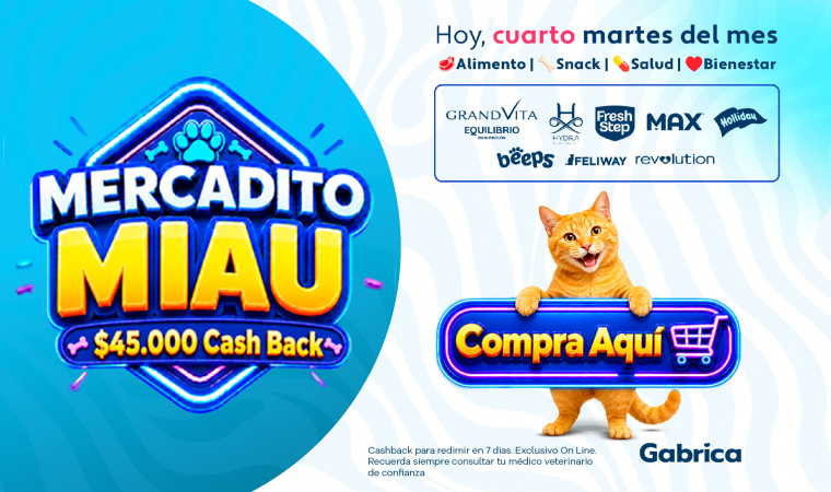 Gabrica Fest Gato